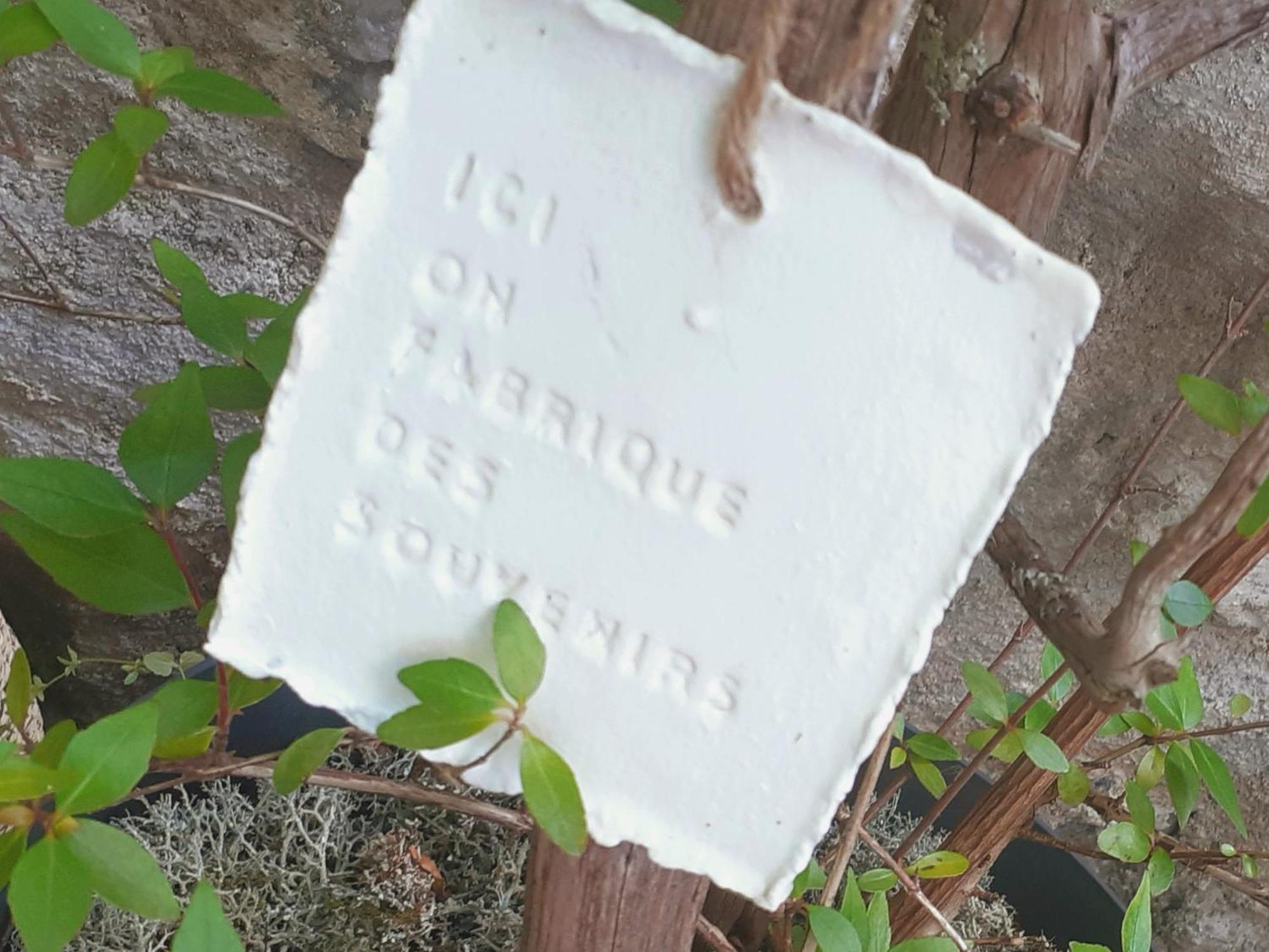 Sous Le Tilleul A