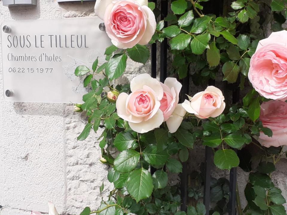 Maison d'hôtes Sous Le Tilleul à Ruoms